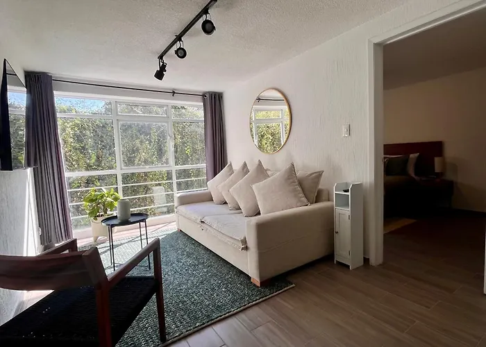 Apartment T201 - 1bdr - 1bth Mexico City